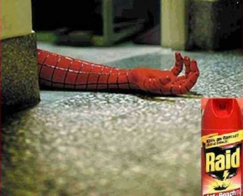 Raid ist Spiderman-Killer