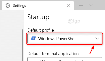 Numatytųjų profilio nustatymų piktograma Windows terminalas Win11